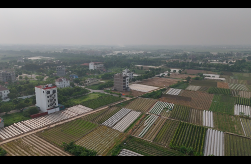 Bán liền kề dự án Cienco 5 Mê Linh, dt 100m2, gần trường Đại học tài chính